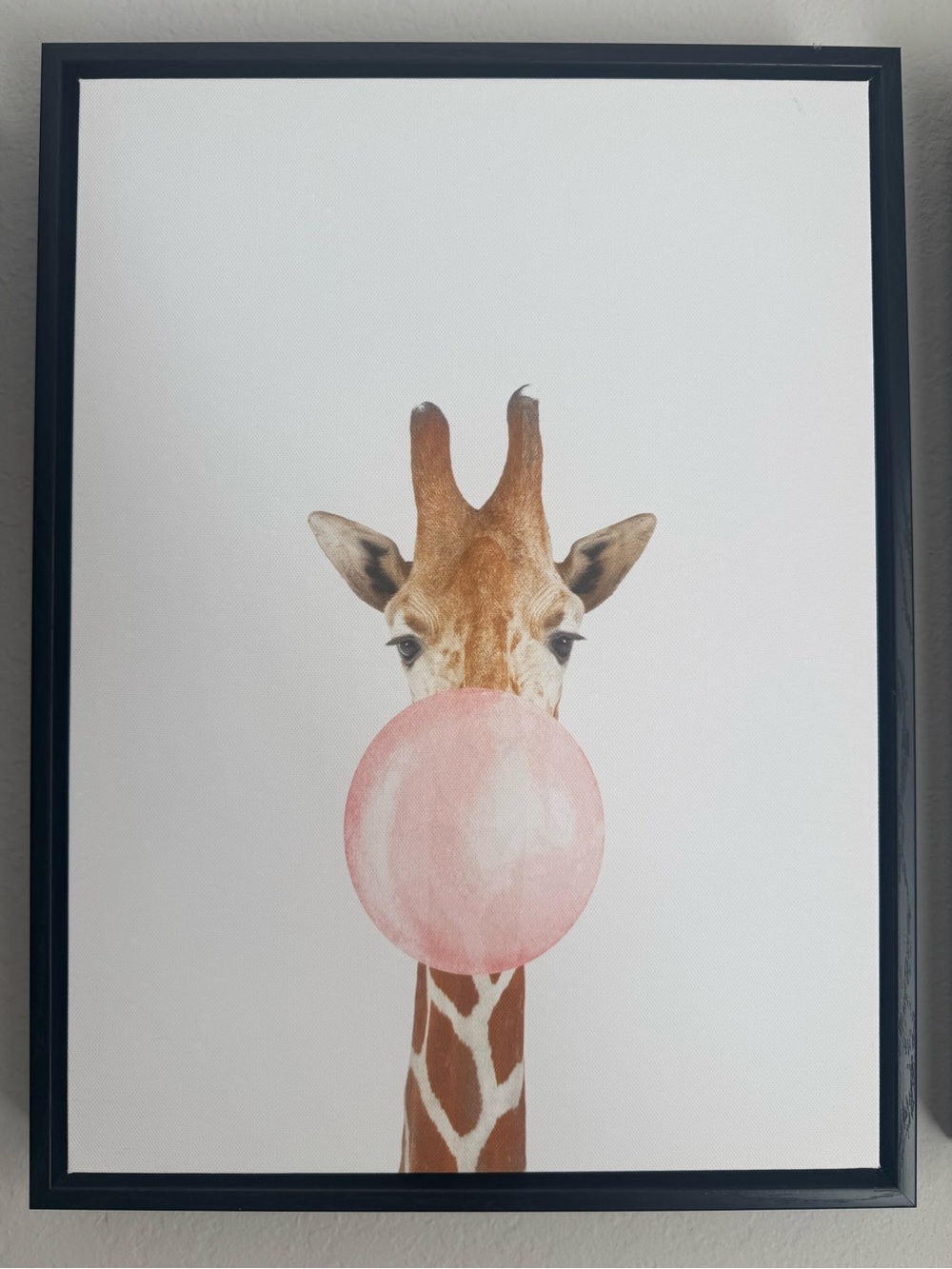 Giraffe Blowing Bubble Gum Canvas Print Wall Art